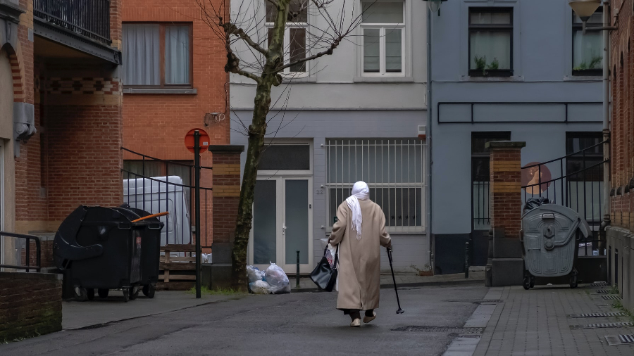 Het integratiebeleid: doeners, zeggers en getuigen