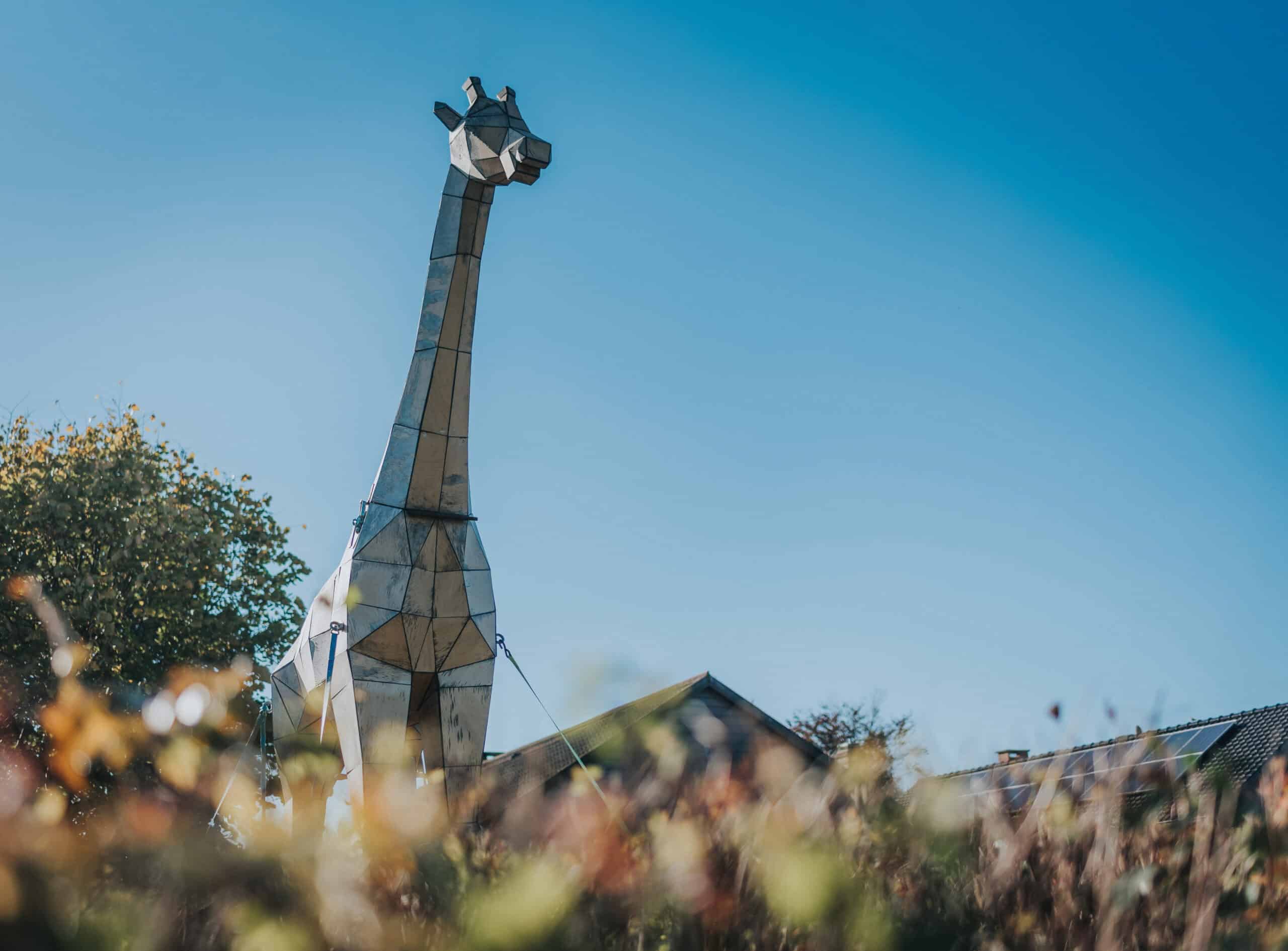 Giraff